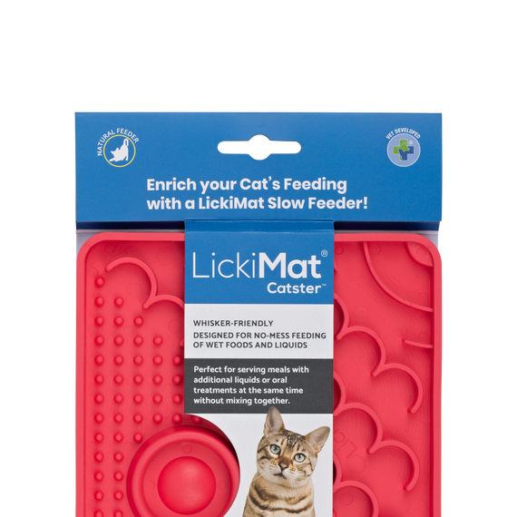 Cat slow feeder clearance wet food